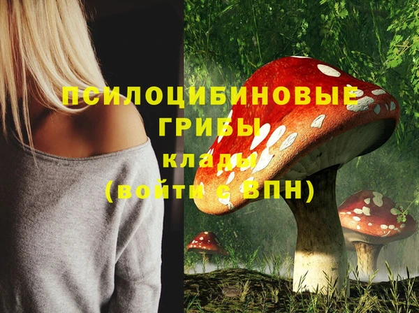 стафф Кстово