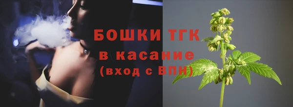 шишки Вяземский