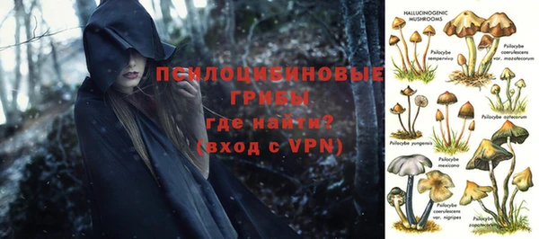 дмт Нефтекумск