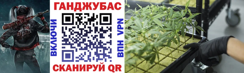 Конопля Amnesia  Малая Вишера 